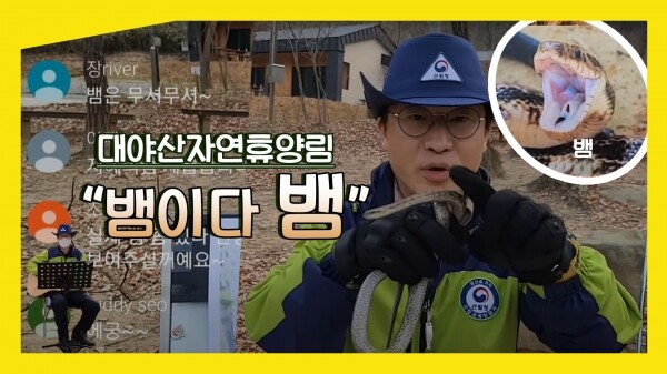 사진은 대야산자연휴양림의 숲해설-뱀이다 뱀 영상 썸네일