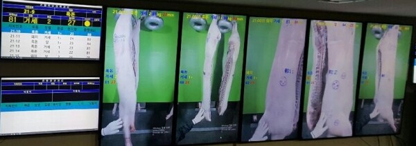 사진은 스마트경매 화면 캡처