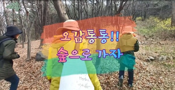 오감통통 숲으로 가자 영상캡처