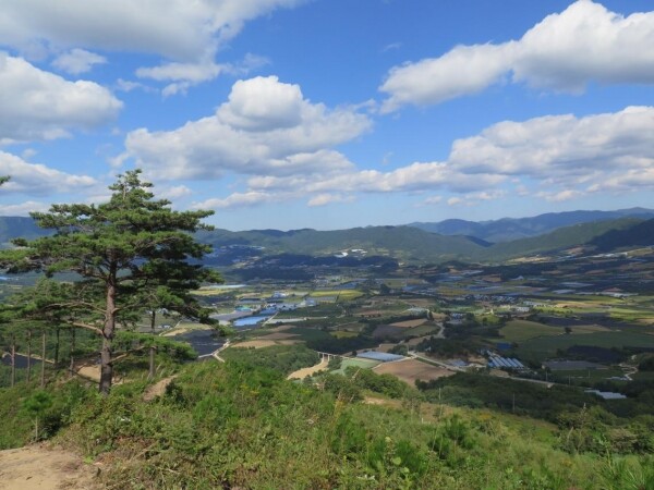 DMZ 펀치볼둘레길