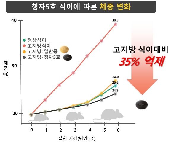 체중 변화