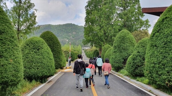 환경성질환 숲 캠프 모습