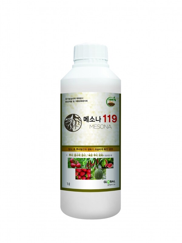 메소나