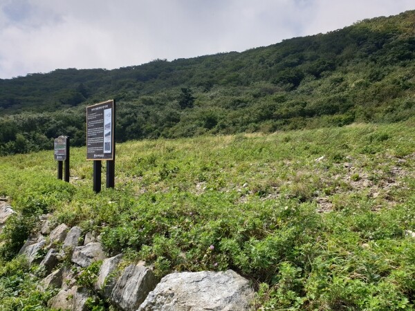 사진은 지난 2020년 대상을 수상한 양양국유림관리소의 종자발아 촉진기술을 이용한 자생식물 포트묘 전경