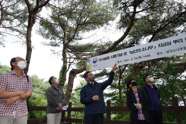 최병암 산림청장이 서울 남산 소나무 군락지를 둘러보고 있다