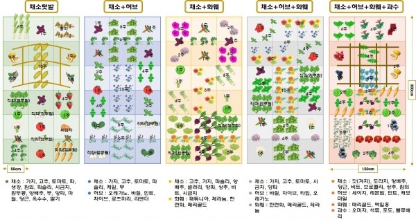 동반식물 활용한 텃밭 디자인