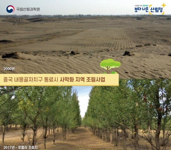 중국 내몽골자치구 통료시의 사막화 지역 조림사업 모습