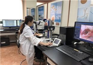 실험실 정밀검역 모습