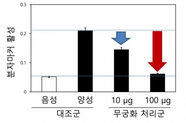 파골세포 분화 억제 효과