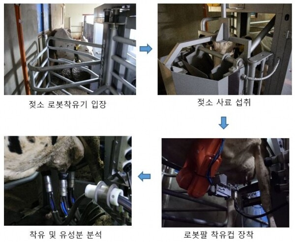 착유 흐름도