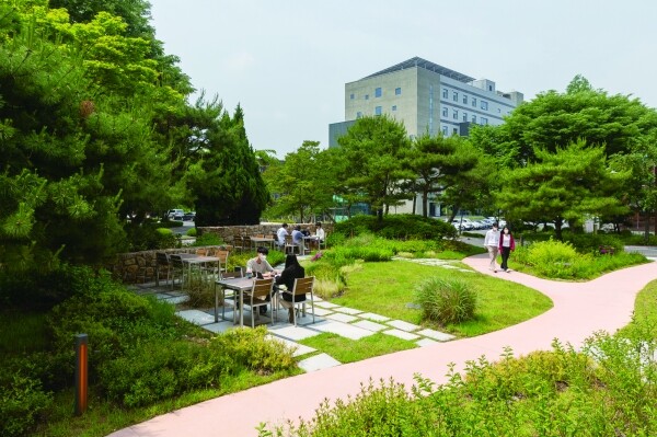 사진은 서울시내에 조성된 도시숲 모습