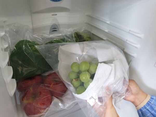 포장한 포도 냉장고에 넣는 모습