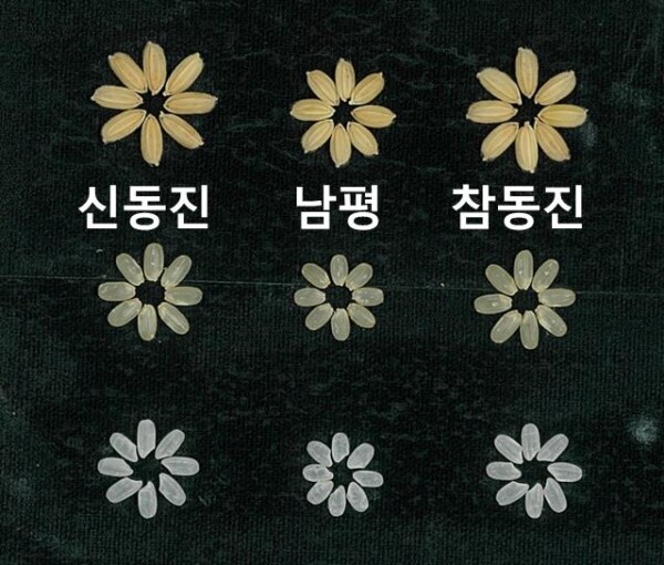 참동진 종실