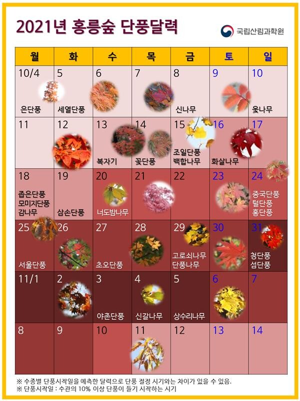 2021년 홍릉숲 단풍달력