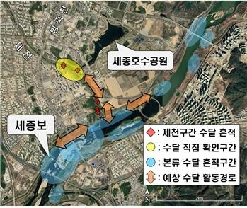 환경부, 수달 서식지 보전·조성 계획