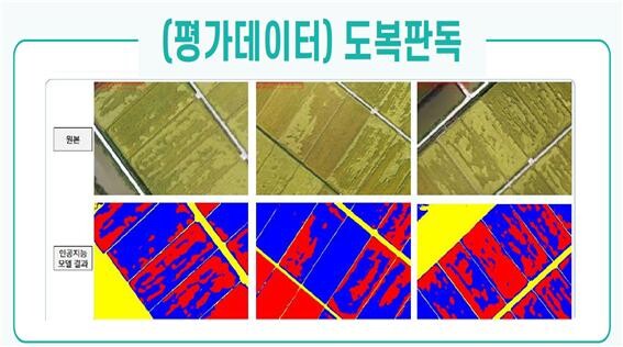 프로그램 사용 결과 데이터