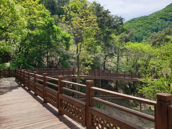 예산 치유의숲
