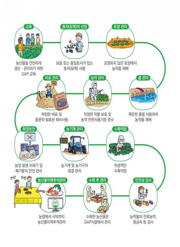 GAP인증 절차도