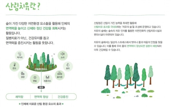 산림치유 개념도
