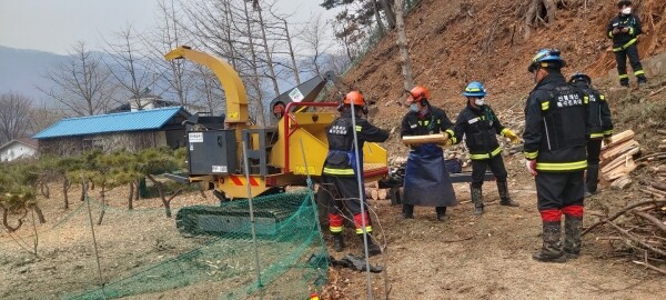 사진은 피해고사목 파쇄 모습