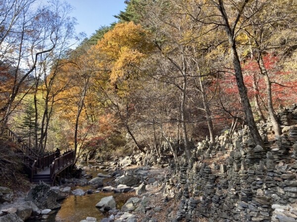 노추산 삼천 모정탑길 정비완료 모습
