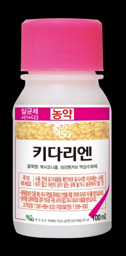 키다리엔