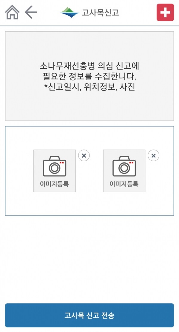 고사목 신고 화면