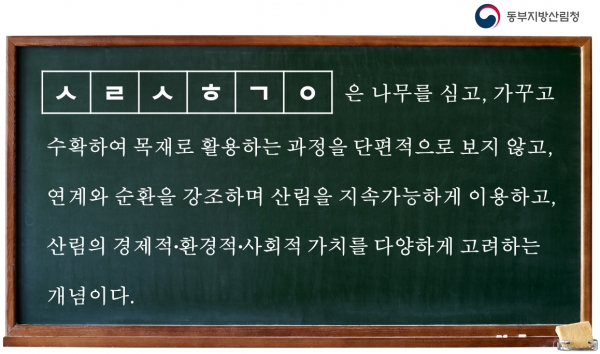 퀴즈 이미지 파일