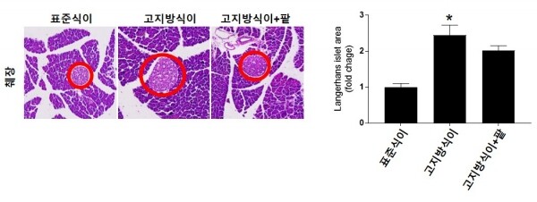 랑게르한스섬 효과