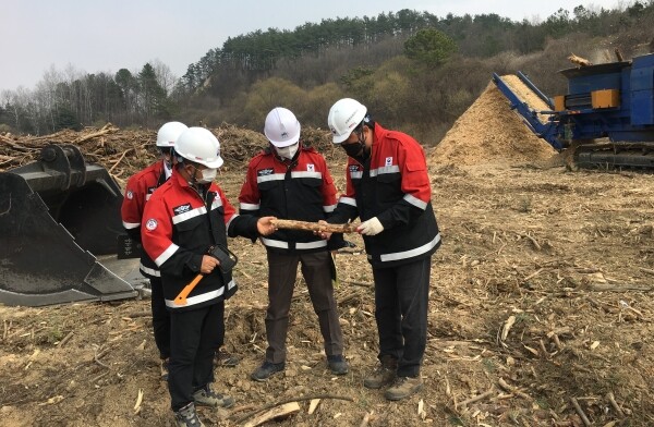 소나무재선충병 방제사업장 점검