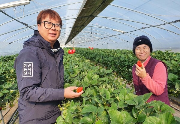 전남 담양군 청춘베리팜의 임동만 이미정 부부.