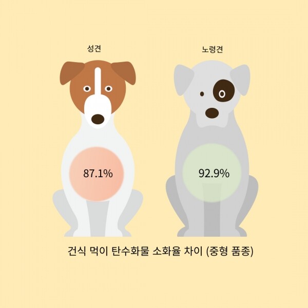 노령견과 성견의 탄수화물 소화율.