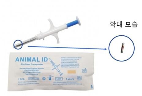 주입기와 실제 내장되는 무선식별장치를 확대한 모습.