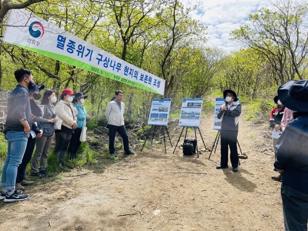 멸종위기 구상나무 현지 외 보존원 조성 현장