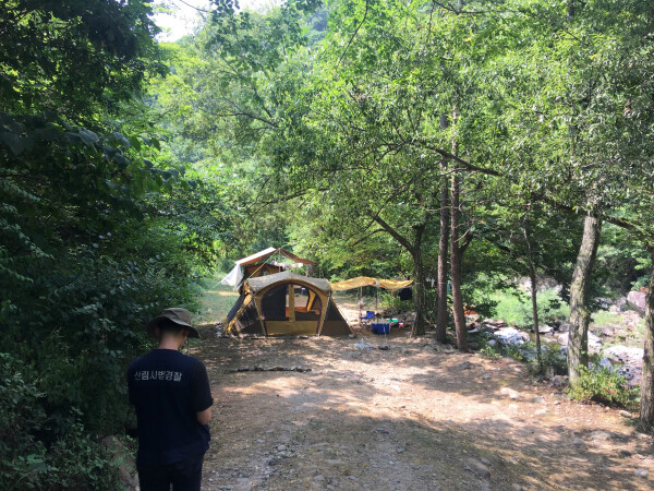 산림특별사법경찰이 계곡 내 쓰레기투기 및 화기 사용 단속을 실시하고 있다.