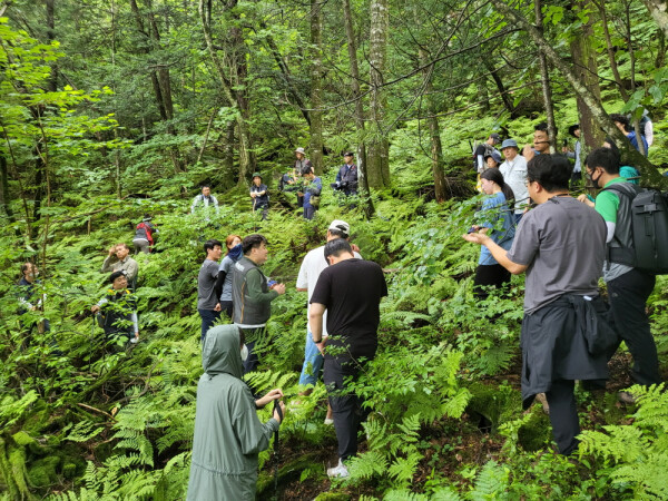 한국 고유 침엽수종 보전위한 정밀조사 현장토론회