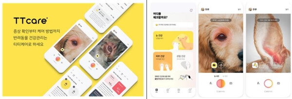 질병진단 서비스 어플리케이션