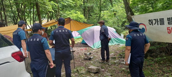 산림청 산림사법경찰이 강원도 영월군 연하계곡서 산림 내 불법행위 단속 및 계도활동을 벌이고 있다