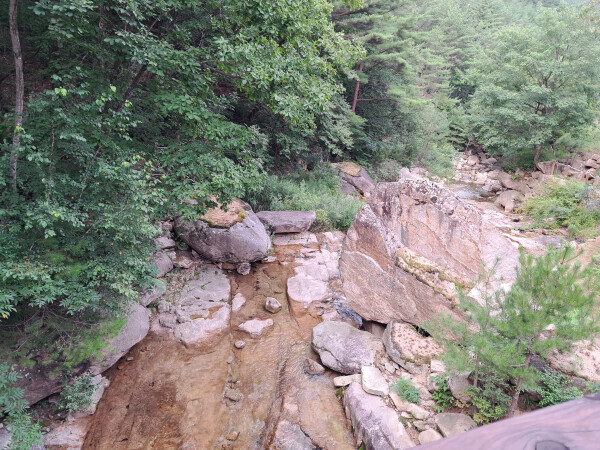 황정산