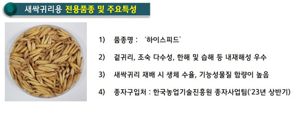 새싹귀리용 전용 품종