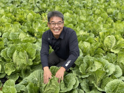 채소 최선동 명인