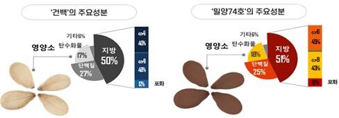 밀양74호의 주요 성분 비교