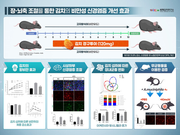 김치 섭취에 따른 비만 및 신경염증 개선 작용기전