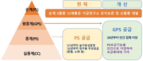 2023년 우리맛닭 종계 분양 및 공급 체계 개선도