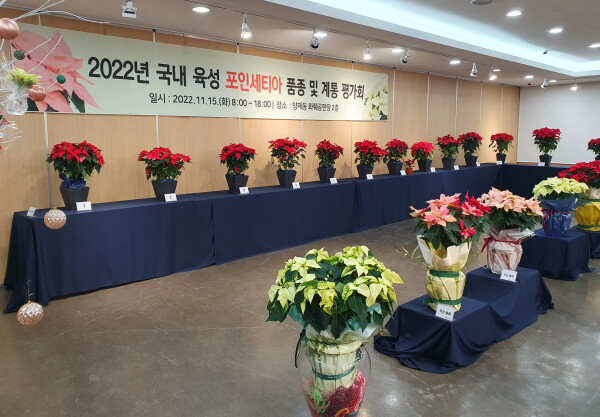 2022년도 포인세티아 평가회