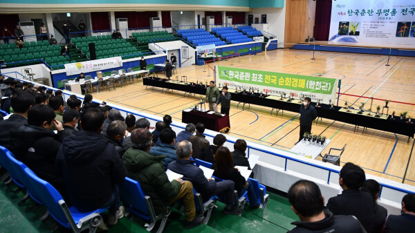 화훼사업센터의 한국춘란 지역순회 경매 현장