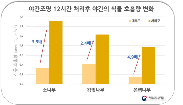 야간 식물호흠량 그래프