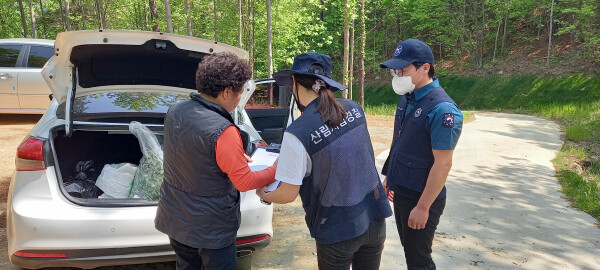 임산물 불법채취 단속 모습 (산림청 제공)