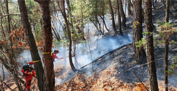 산불 진화(공중진화대원) 산림청 제공