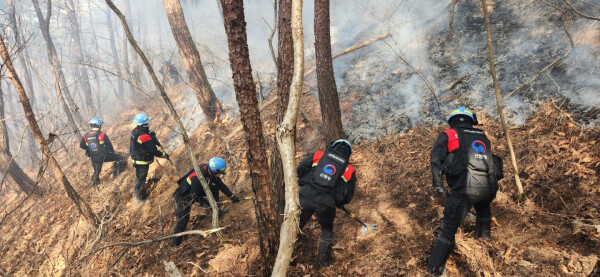 특수진화대 자료사진 (본 기사와 무관함 / 산림청 제공)